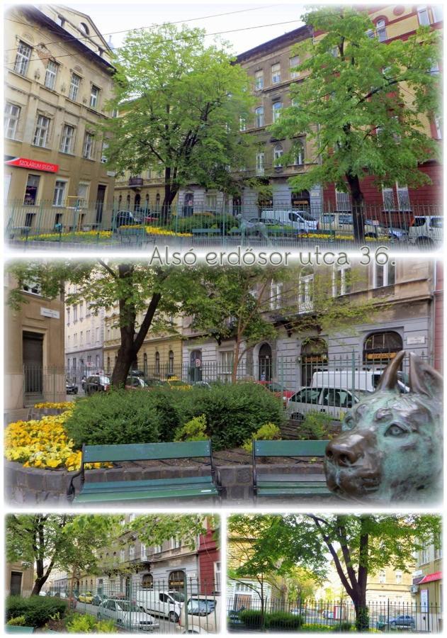 Elizavarlak Apartman Budapest Kültér fotó